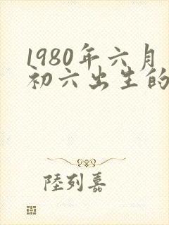 1980年六月初六出生的人命运