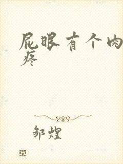 屁眼有个肉球不疼封面