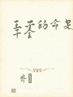 王子的命是恶役千金封面