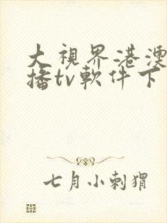 大视界港澳台直播tv软件下载封面