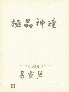 极品神瞳