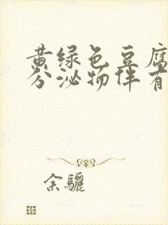 黄绿色豆腐渣样分泌物伴有瘙痒