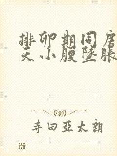 排卵期同房第二天小腹坠胀封面