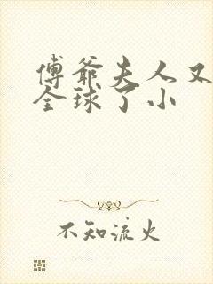 傅爷夫人又惊艳全球了小