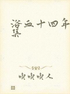 浴血十四年四十集