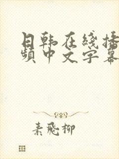 日韩在线播放视频中文字幕