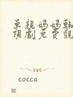 单亲妈妈韩剧电视剧免费观看全集封面