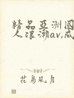 精品亚洲国产成人浪潮av,成人激封面