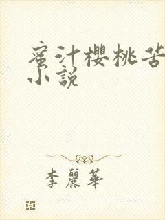 蜜汁樱桃苦咖啡小说封面