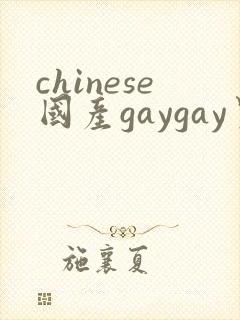 chinese国产gaygay男男网站
