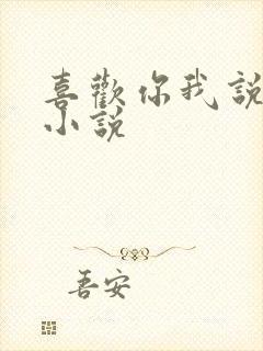 喜欢你我说了算小说封面