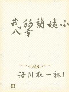 我的兰姨小说第八章封面