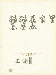 猫猫在家里乱尿怎么办