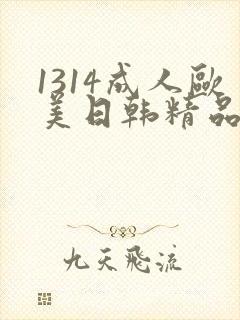 1314成人欧美日韩精品