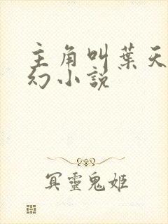 主角叫叶天的玄幻小说