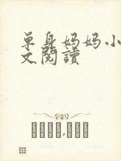 单身妈妈小说全文阅读封面