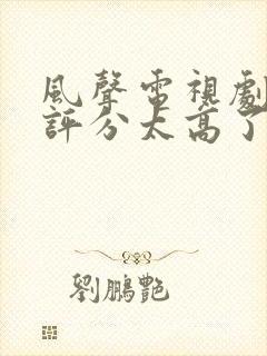 风声电视剧豆瓣评分太高了封面