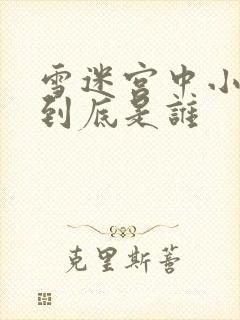 雪迷宫中小马哥到底是谁