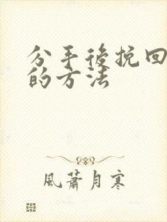 分手后挽回复合的方法