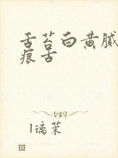 舌苔白黄腻有齿痕舌