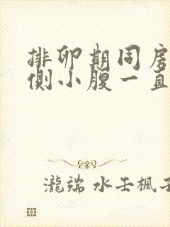 排卵期同房后左侧小腹一直隐隐作痛