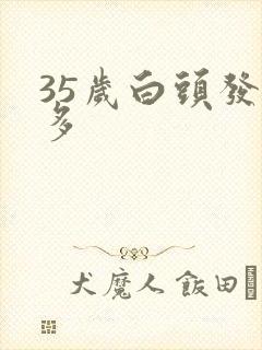 35岁白头发太多封面