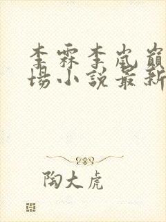 李霖李岚巅峰官场小说最新章节更新