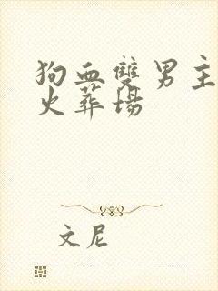 狗血双男主追妻火葬场