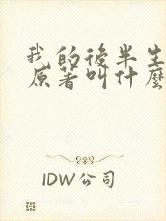 我的后半生小说原著叫什么封面