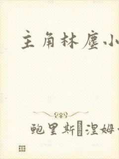 主角林尘小说