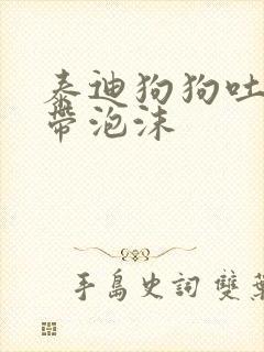 泰迪狗狗吐黄水带泡沫