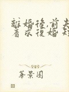 离婚后,前夫哭着求复婚 短剧