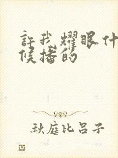 许我耀眼什么时候播的