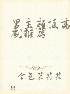 男主颜值高的网剧推荐