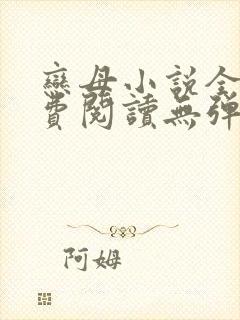 恋母小说全文免费阅读无弹窗笔趣阁封面