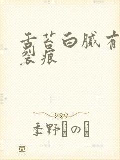 舌苔白腻有齿痕裂痕