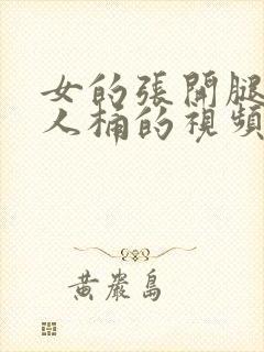 女的张开腿让男人桶的视频免费