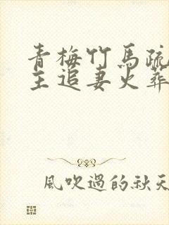 青梅竹马疏离男主追妻火葬场