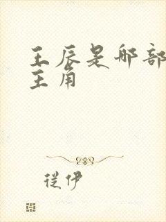 王辰是哪部小说主角