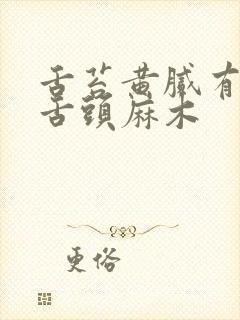 舌苔黄腻有齿痕舌头麻木