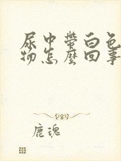 尿中带白色沉淀物怎么回事