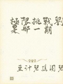 极限挑战刘宪华是哪一期封面