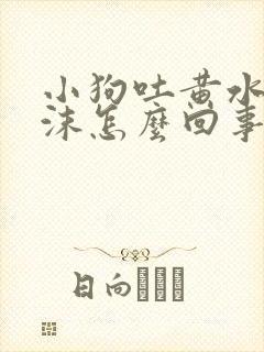 小狗吐黄水带泡沫怎么回事