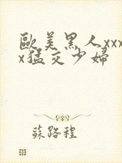 欧美黑人xxxx猛交少妇