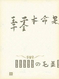 王子本命是恶投千金封面