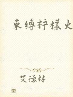 束缚柠檬火焰封面