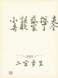 小说盛总夫人又去败家了全文免费阅读封面