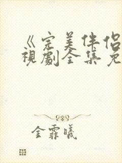 《完美伴侣》电视剧全集免费观看