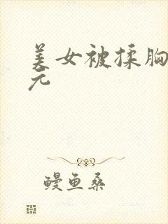 美女被揉胸二次元