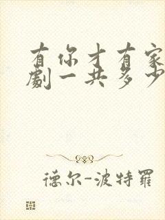 有你才有家电视剧一共多少集